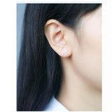 Boucles d'Oreilles Poney