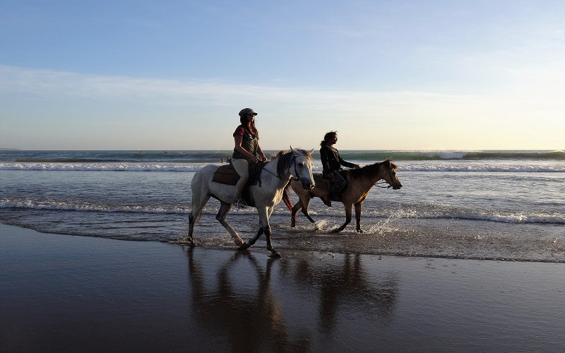 Comment préparer sa balade à cheval ?