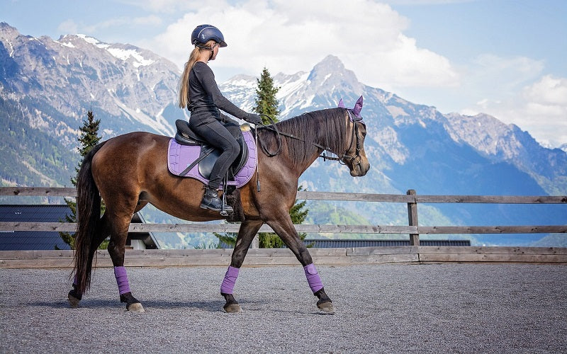 Le Poids du Cavalier : Un Facteur Essentiel pour le Bien-être de Votre Cheval