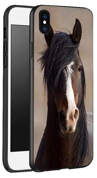 Coques Cheval