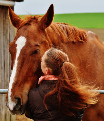 Un cheval d'amour