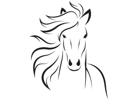 Sticker tête de cheval design
