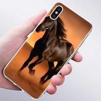 Coques Cheval